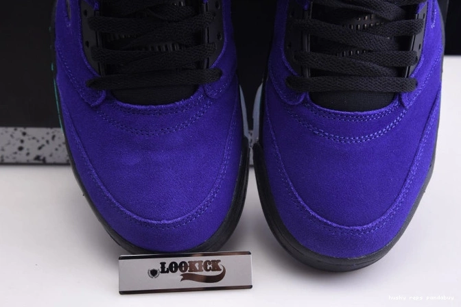 Rep Husky 5 Alternate 136027-500 Jordan Retro Air Grape 0705